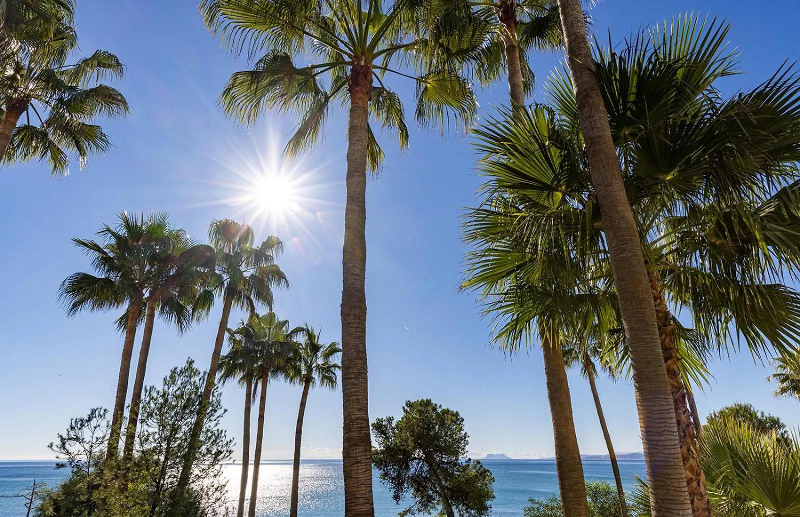 Apartment Alejandra - Gerenoveerd Appartement Direct Aan Zee Estepona